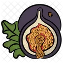 Fig Pulpy Fruit Food Icon
