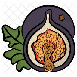 Fig  Icon