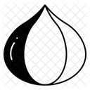 Fig Icon