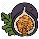 Fig  Icon