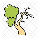 Fig Tree Icon