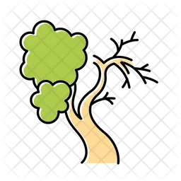 Fig Tree  Icon