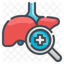 Figado Hepatite Anatomia Ícone