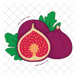 Figs  Icon