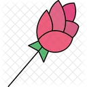 Figure Beauty Rose Elegant Rose Classic Bloom Icon