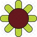 Figure Flower Stylized Bloom Artistic Petals Icon