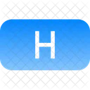 File H Data Icon