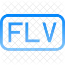 File Flv Data Icon