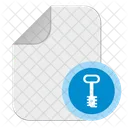 File chiave  Icon