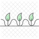 Fileira De Plantas Limpas Limpo Planta Icon