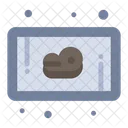 Bife  Icono