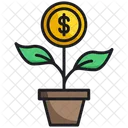 Growth Money Plant Growth Icon