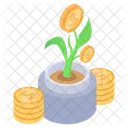 Money Growth Money Plant Business Development Icon
