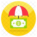 Financial Security  Icon