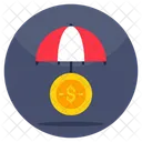 Financial Security  Icon