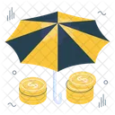 Financial Security  Icon
