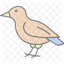 フィンチ、鳥、小型 アイコン
