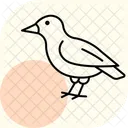 フィンチ、鳥、小型 アイコン