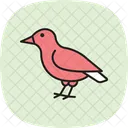 フィンチ、鳥、小型 アイコン