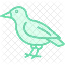 Finch Bird Small Icon
