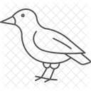 Finch Bird Small Icon