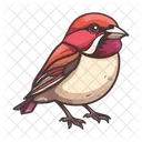 Finch Blue Jay Feather Creature Icon