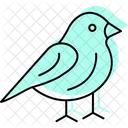 Finch Pet Bird Icon