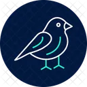 Finch Pet Bird Icon