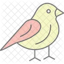 Finch Pet Bird Icon