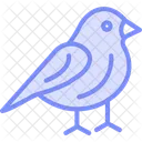 Finch Pet Bird Icon
