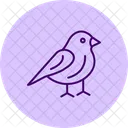 Finch Pet Bird Icon