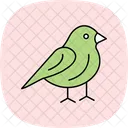 Finch Pet Bird Icon