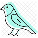 Finchley Bantam Bird Icon