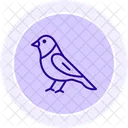 Finchley Bird Finch Icon