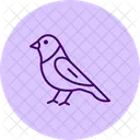 Finchley Bird Finch Icon