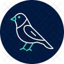 Finchley Bird Finch Icon