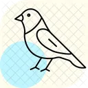 Finchley Bird Finch Icon