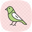 Finchley Bird Finch Icon