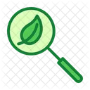 Eco Search Leaf Icon