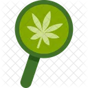 Find Cannabis  Icon