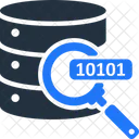 Find Data Search Data Icon