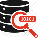 Find Data Search Data Icon