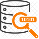 Find Data Search Data Icon