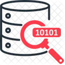 Find Data Search Data Icon