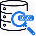 Find Data Search Data Icon