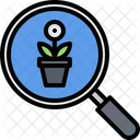 Find Flower Plant  Icon