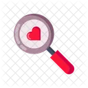 Find Search True Icon