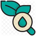 Find Plant  Symbol