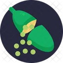 Exotic Fruits Finger Lime Lime Icon