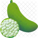Finger Lime Fruit Food Icon